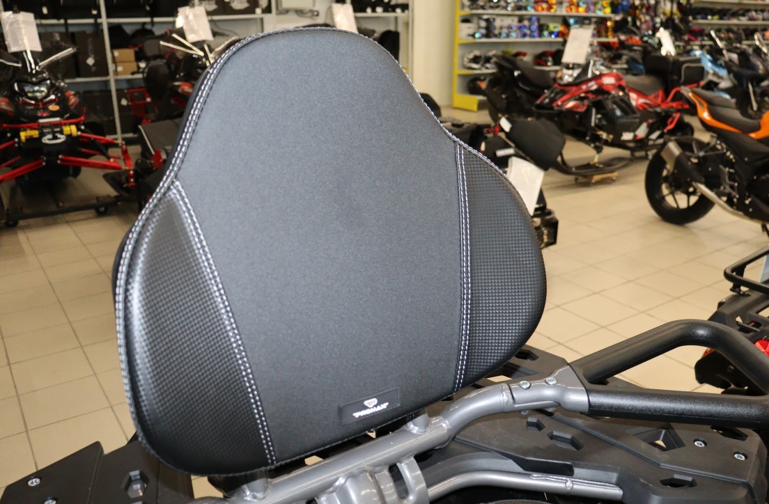 Квадроцикл PROMAX RENEGADE 300 LONG WINCH PRO (2025) в Симферополе