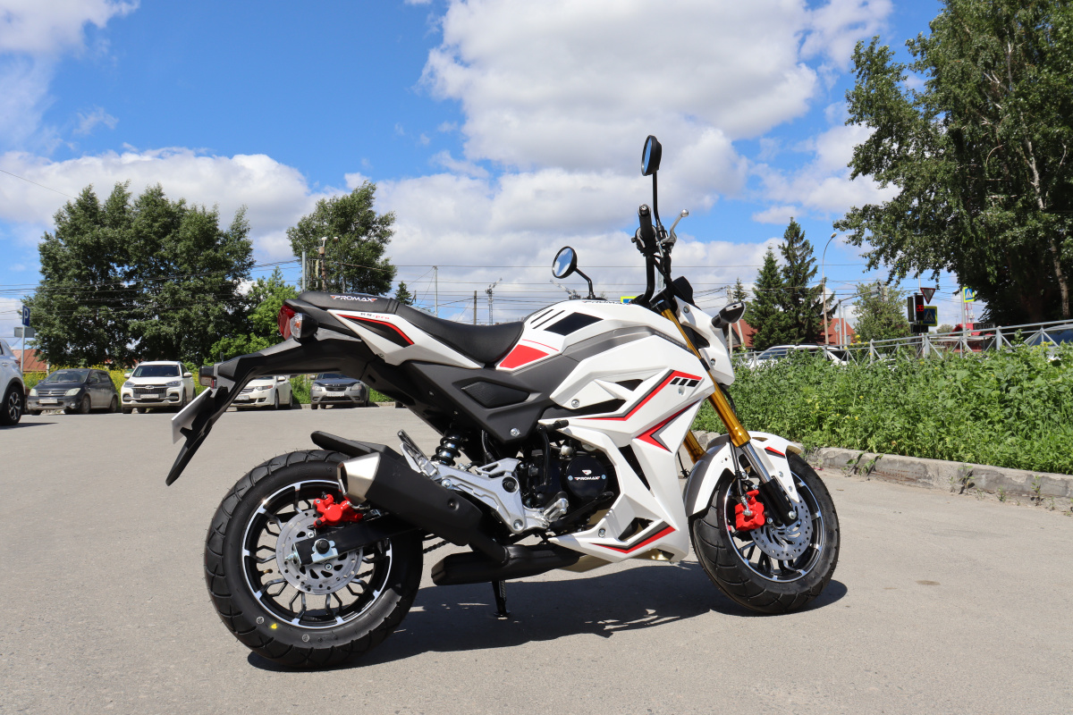 Мотоцикл PROMAX STRYKER 200(49) 2.0 в Симферополе