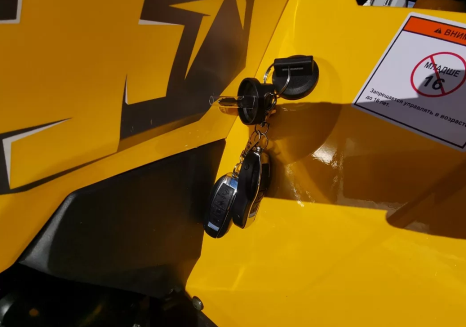 Квадроцикл MOTOLAND (МОТОЛЕНД) VOX200 WILD TRACK X PRO (баланс. вал) в Симферополе