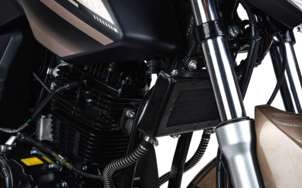 Мотоцикл MOTOLAND (МОТОЛЕНД) 300 BANDIT в Симферополе