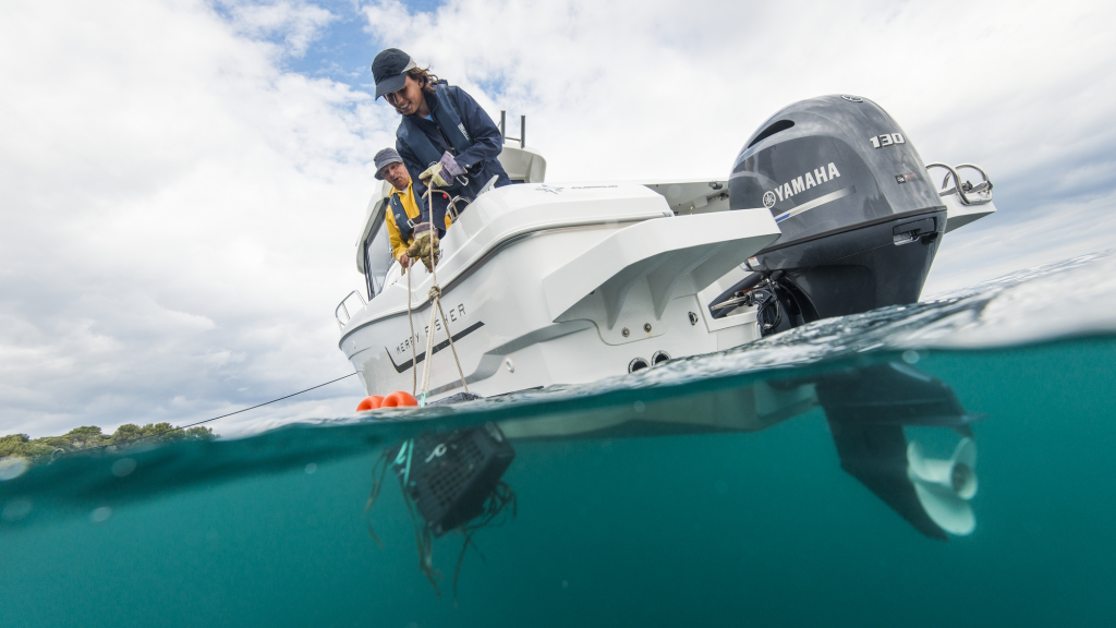 ЛОДОЧНЫЙ МОТОР YAMAHA F130 AETX в Симферополе