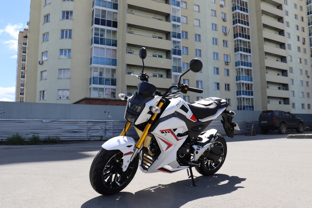 Мотоцикл PROMAX STRYKER 200(49) 2.0 в Симферополе