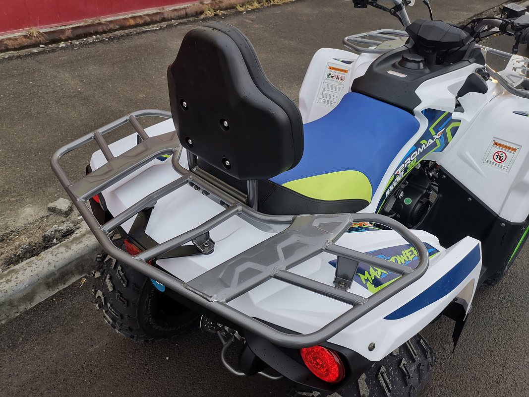 Квадроцикл PROMAX RENEGADE 280 LUX (2025) в Симферополе
