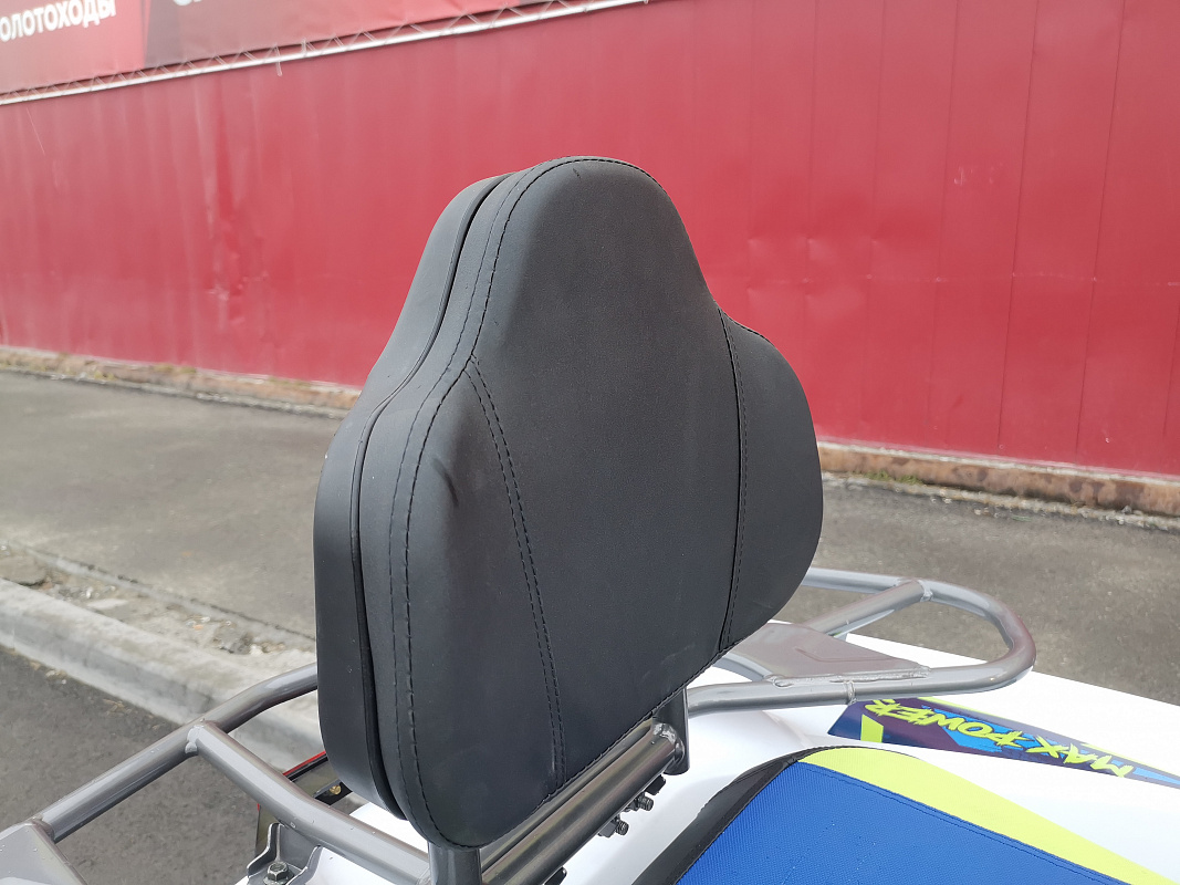 Квадроцикл PROMAX RENEGADE 280 LUX (2025) в Симферополе