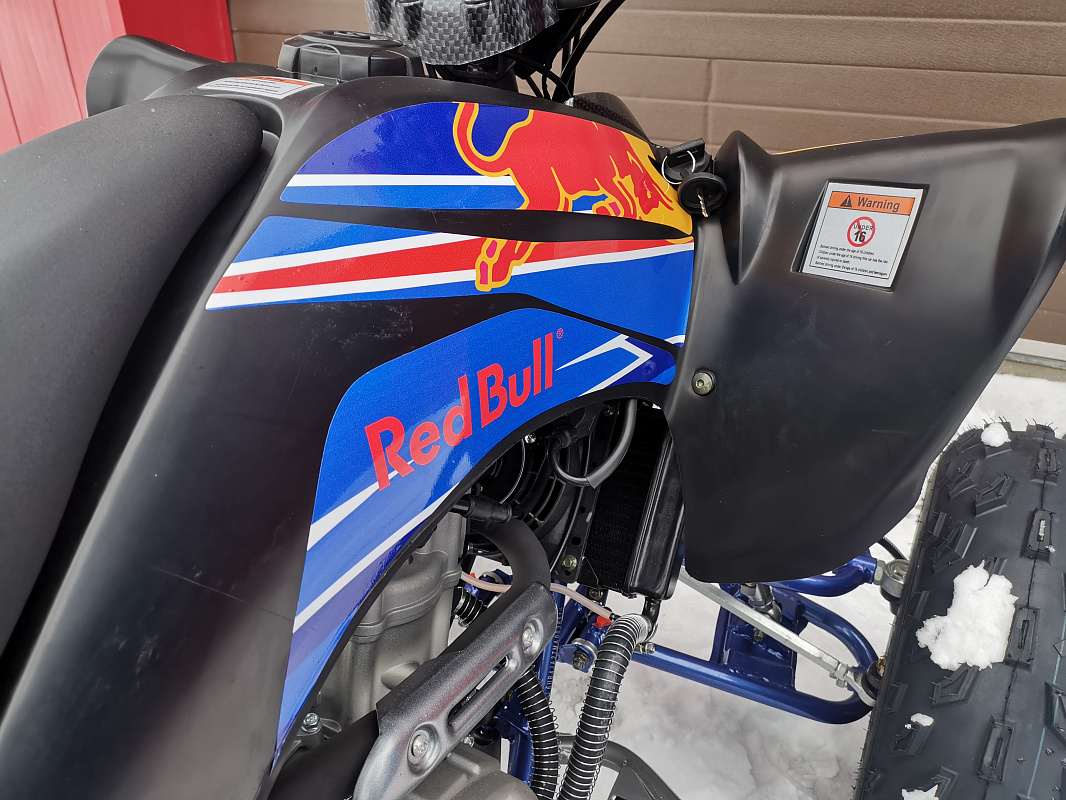 Квадроцикл PROMAX RAPTOR 300 NEW RedBull в Симферополе