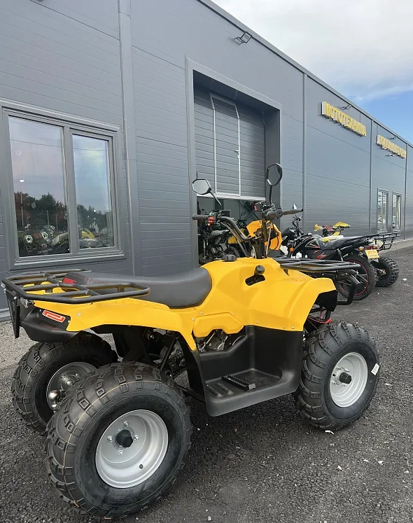 КВАДРОЦИКЛ IRBIS ATV 250  в Симферополе