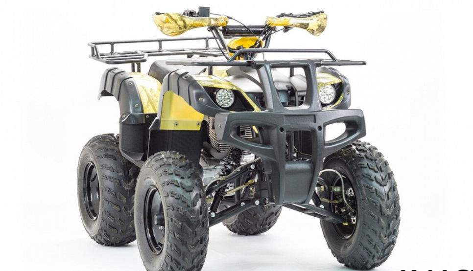 Квадроцикл MOTOLAND (МОТОЛЕНД) 250 ADVENTURE в Симферополе