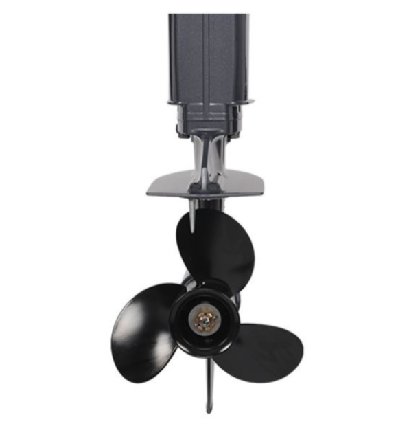 Лодочный мотор ALLFA CG Т40FW S в Симферополе