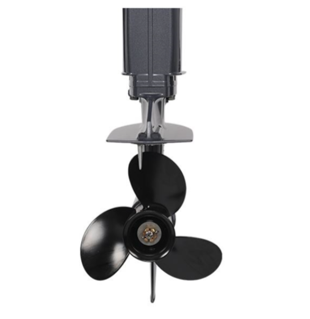 Лодочный мотор ALLFA CG Т40FWT S в Симферополе