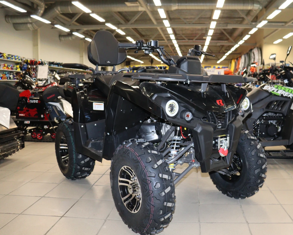 Квадроцикл PROMAX RENEGADE 300 LONG WINCH PRO (2025) в Симферополе