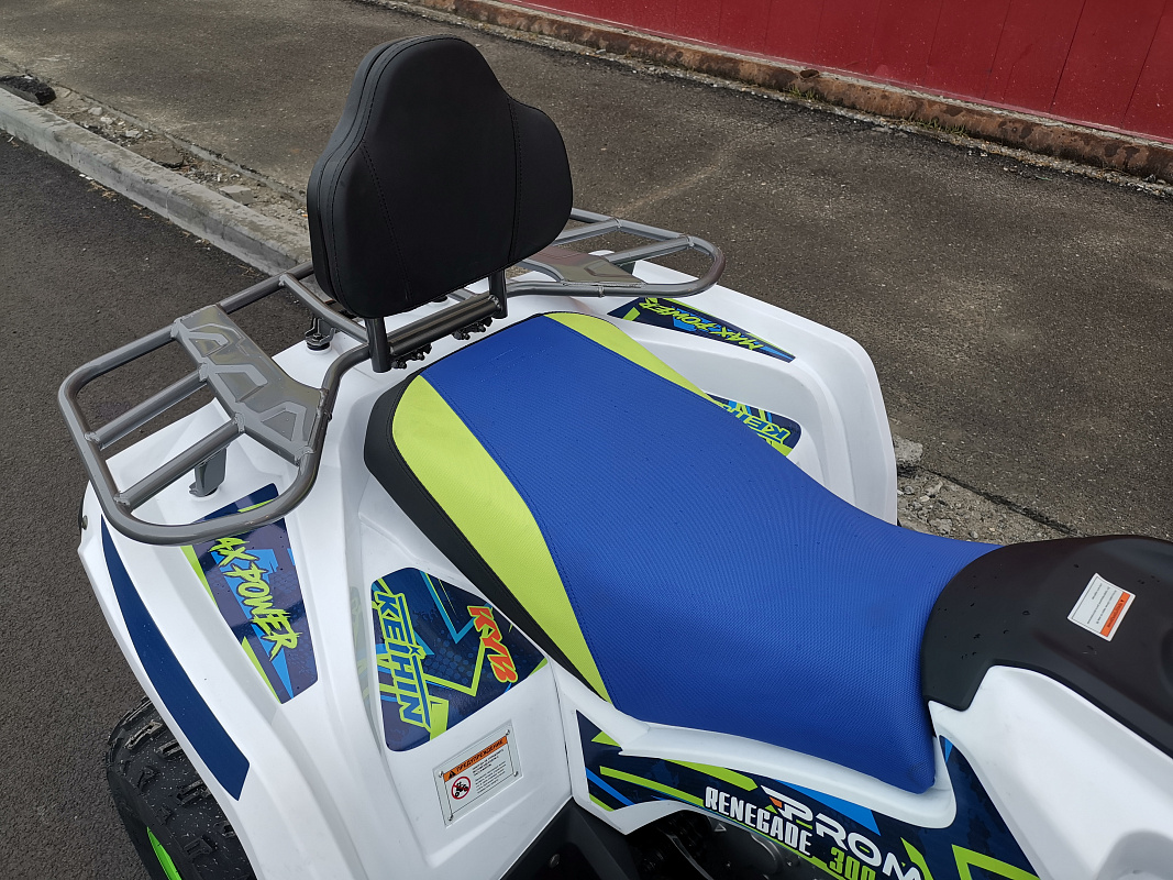 Квадроцикл PROMAX RENEGADE 280 LUX (2025) в Симферополе
