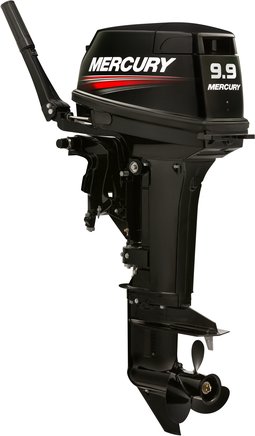 ЛОДОЧНЫЙ МОТОР MERCURY 9.9 MH TMC 247 CC в Симферополе