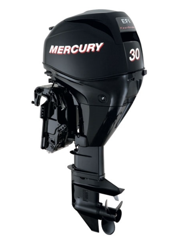 ЛОДОЧНЫЙ МОТОР MERCURY  F 30 ELH GA EFI в Симферополе