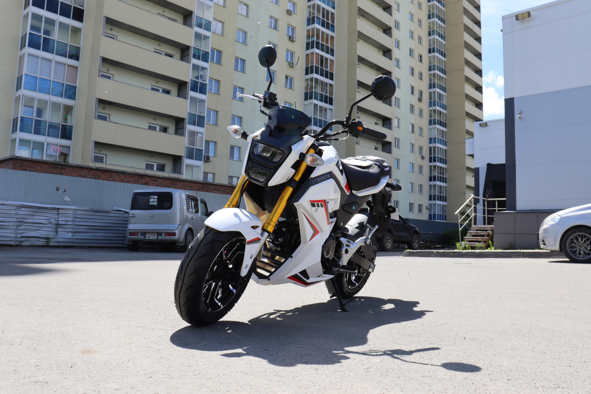 Мотоцикл PROMAX STRYKER 200(49) 2.0 в Симферополе