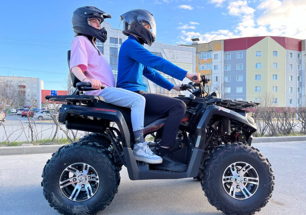 Квадроцикл PROMAX RENEGADE 300 LONG WINCH PRO (2025) в Симферополе