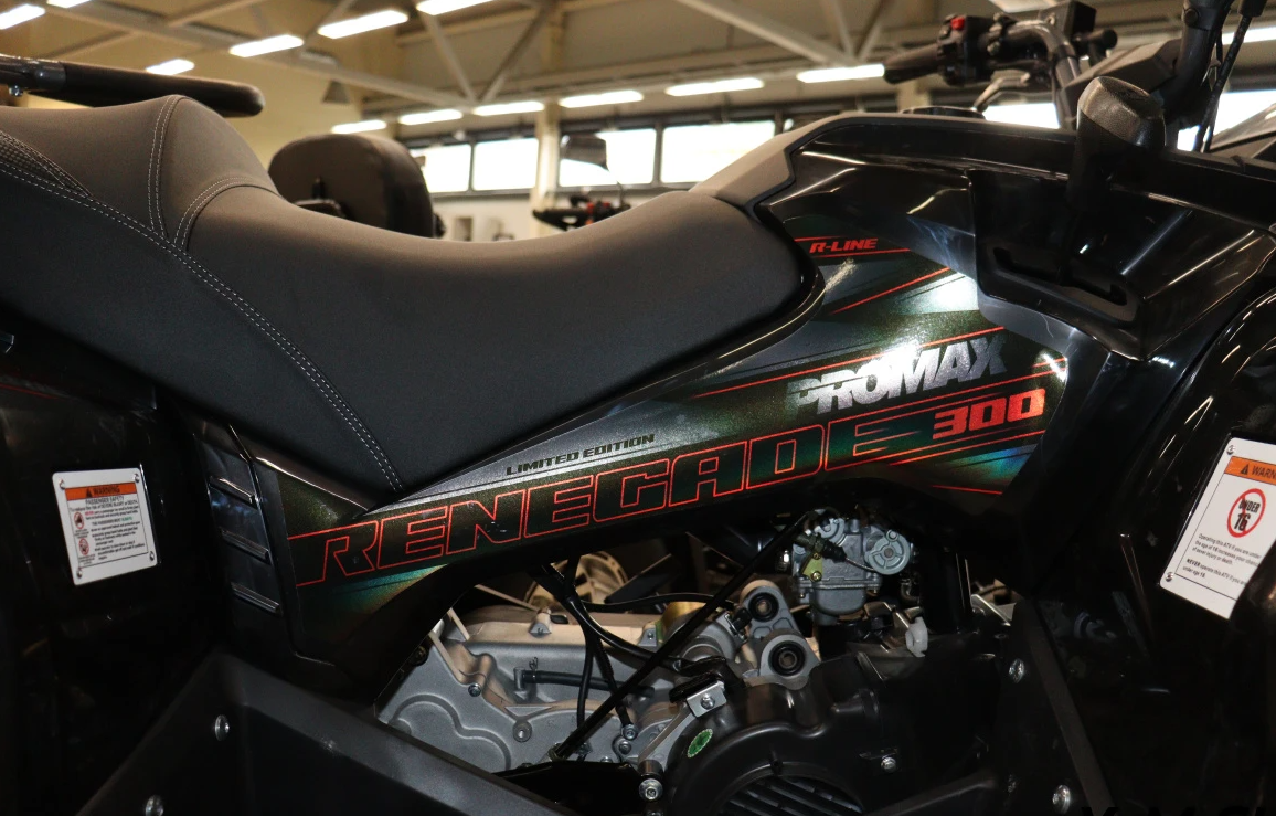 Квадроцикл PROMAX RENEGADE 300 LONG WINCH PRO (2025) в Симферополе