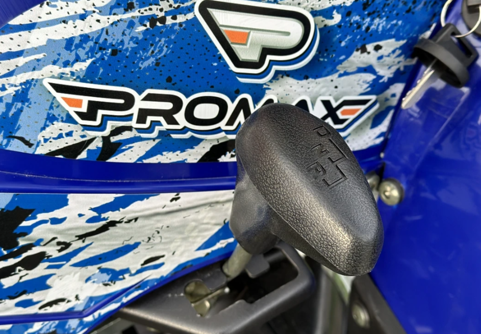  Квадроцикл PROMAX ATV 250 MAX (2025) в Симферополе
