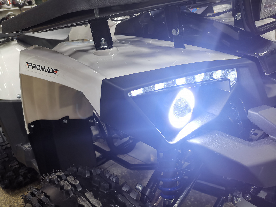 Квадроцикл PROMAX WILD 175 LUX в Симферополе