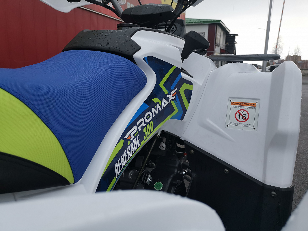 Квадроцикл PROMAX RENEGADE 280 LUX (2025) в Симферополе