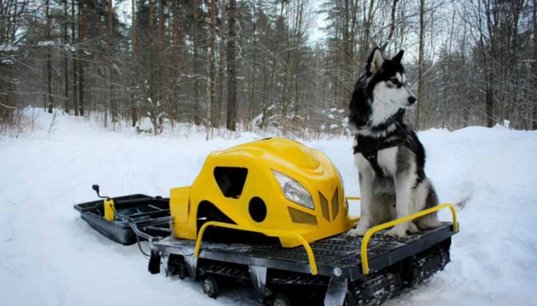 Мотобуксировщик LEBEDEV MOTORS ВОЛКОДАВ POWER V13 в Симферополе
