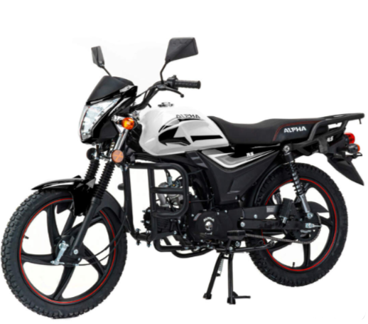 Мопед MOTOLAND (МОТОЛЕНД) Альфа RS 11 (LM48-B) в Симферополе