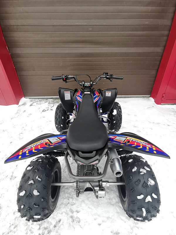 Квадроцикл PROMAX RAPTOR 300 NEW RedBull в Симферополе