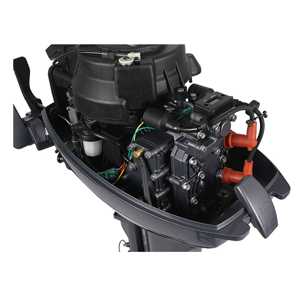 ЛОДОЧНЫЙ МОТОР ALLFA CG Т9,9 в Симферополе