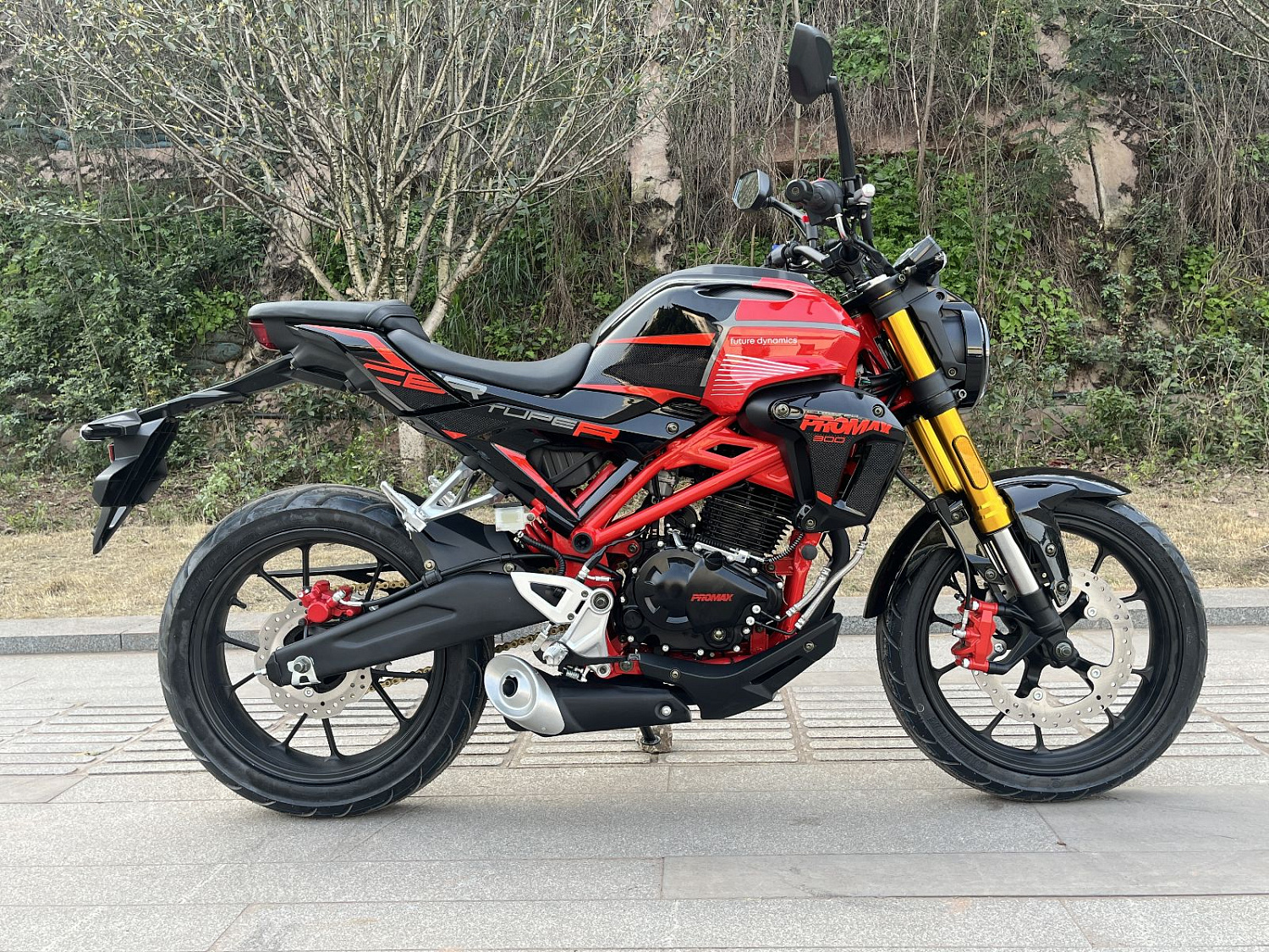 Мотоцикл PROMAX CB300RL (4V, 6G) в Симферополе