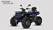 Квадроцикл PROMAX TAURUS 300 MAX-PRO LONG в Симферополе