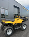 КВАДРОЦИКЛ IRBIS ATV 250  в Симферополе