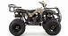 Квадроцикл MOTOLAND (МОТОЛЕНД) 200 ALL ROAD в Симферополе
