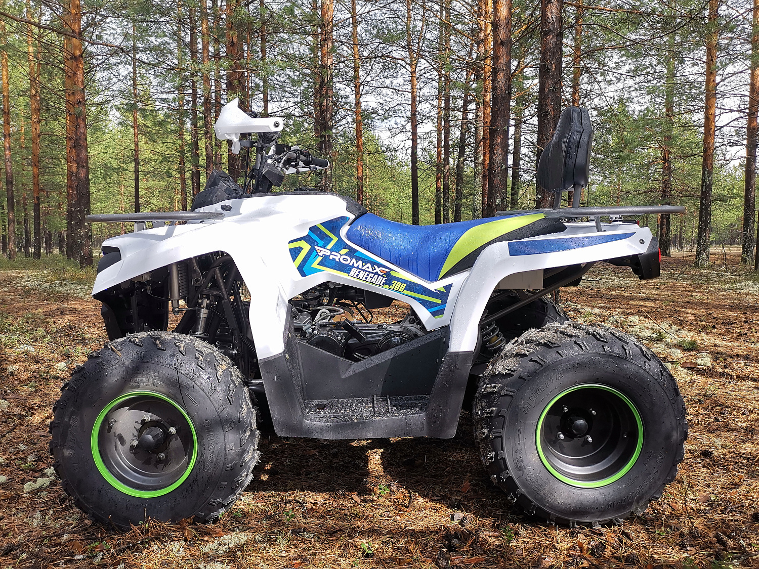 Квадроцикл PROMAX RENEGADE 280 (2025) в Симферополе
