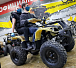 Квадроцикл PROMAX ATV 250 (2025) в Симферополе
