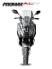 МаксиСкутер PROMAX-HONDA ADV 150 (49) (Inspired by HONDA) в Симферополе