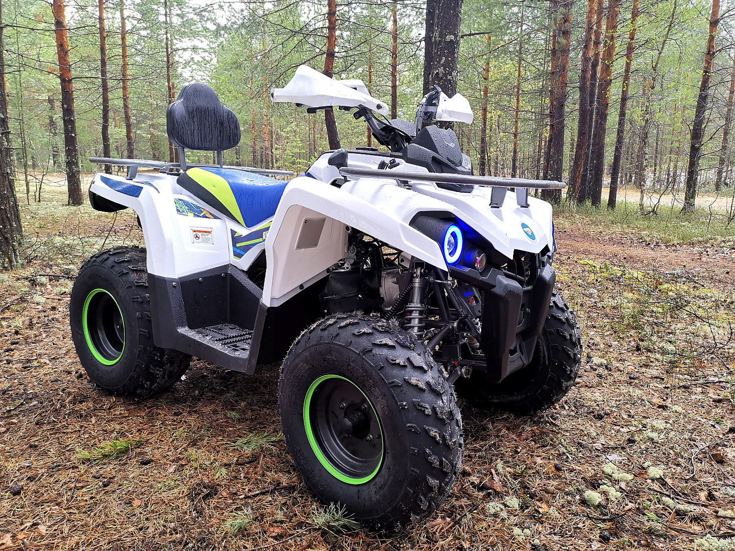 Квадроцикл PROMAX RENEGADE 280 (2025) в Симферополе