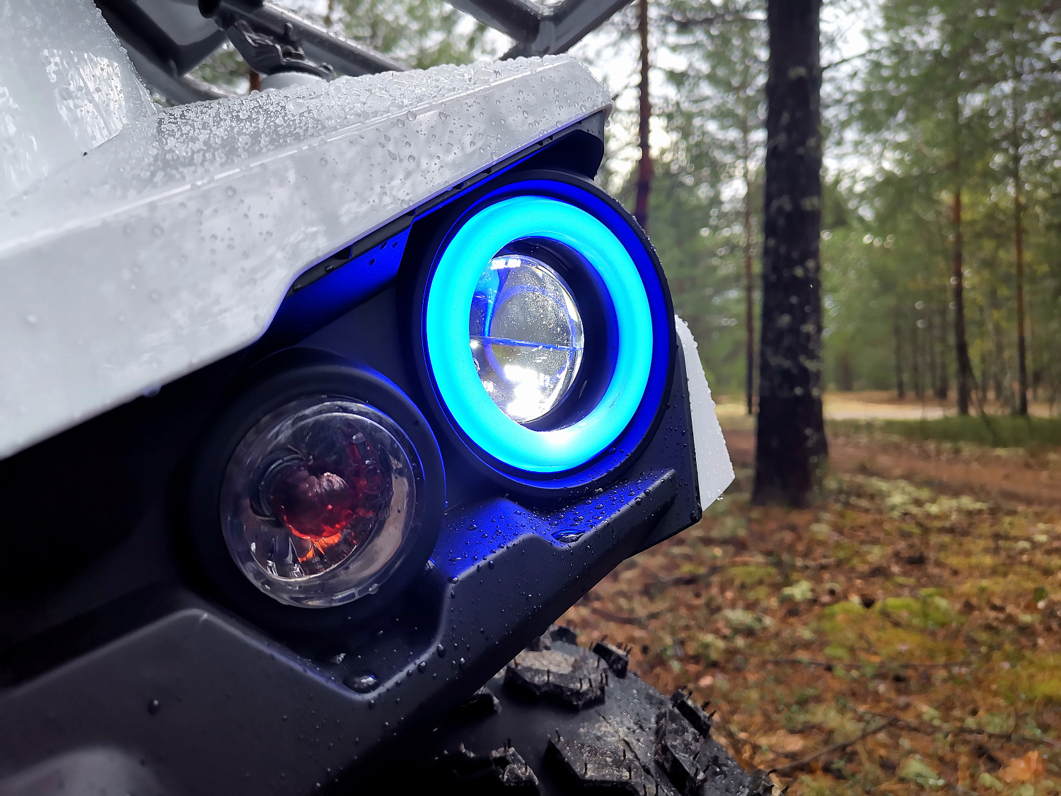 Квадроцикл PROMAX RENEGADE 280 (2025) в Симферополе