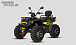 Квадроцикл PROMAX TAURUS 300 MAX-PRO LONG в Симферополе